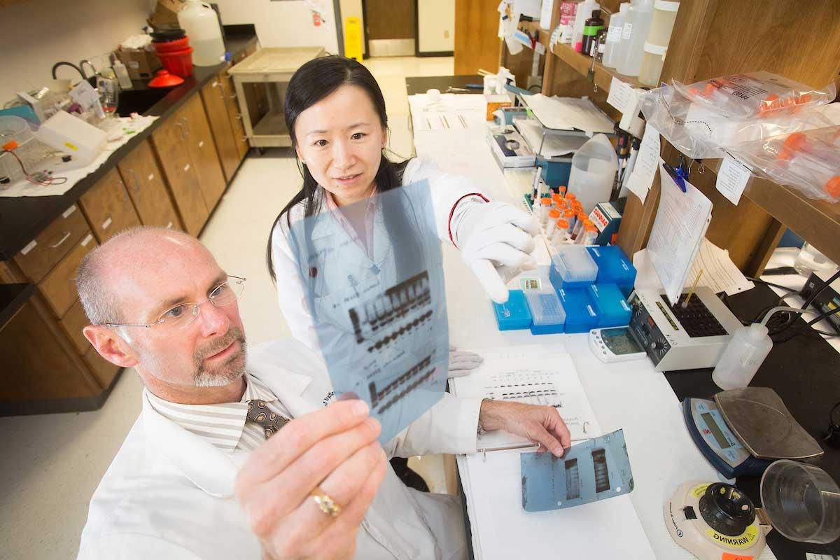 Photo of Dr. 史蒂文斯和一个学生在实验室里